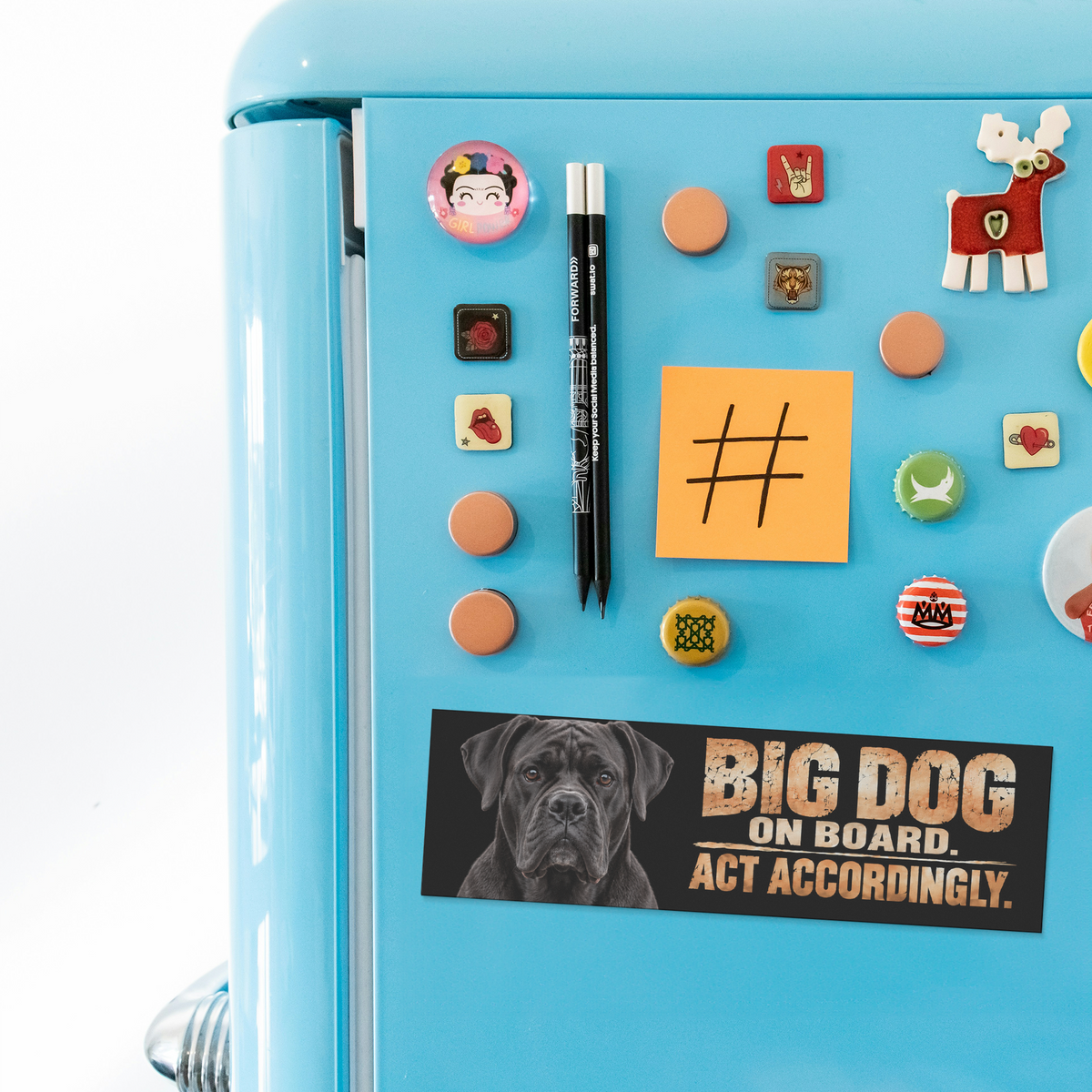 Cane_Corso_Bumper_Magnet__Funny_Big_D_BumperMagnet_Fridge_H_AS_Mockup.png_16374683