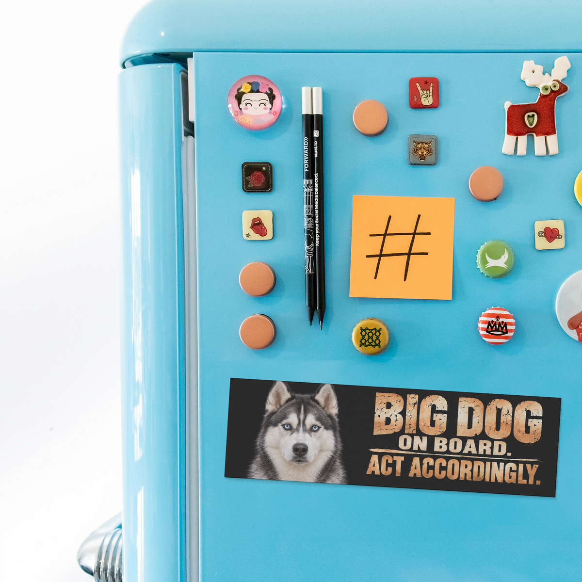 Husky_Bumper_Magnet__Funny_Big_Dog_on_BumperMagnet_Fridge_H_AS_Mockup.png_16374119