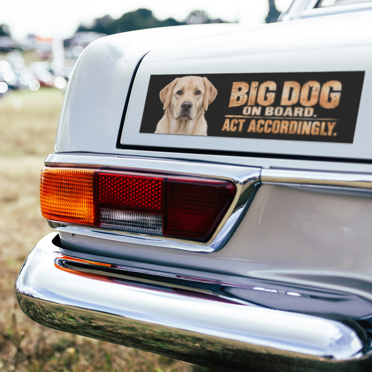 Labrador_Retriever_Bumper_Magnet__Fun_BumperMagnet_CarBumper_H_Mockup.png_16341856