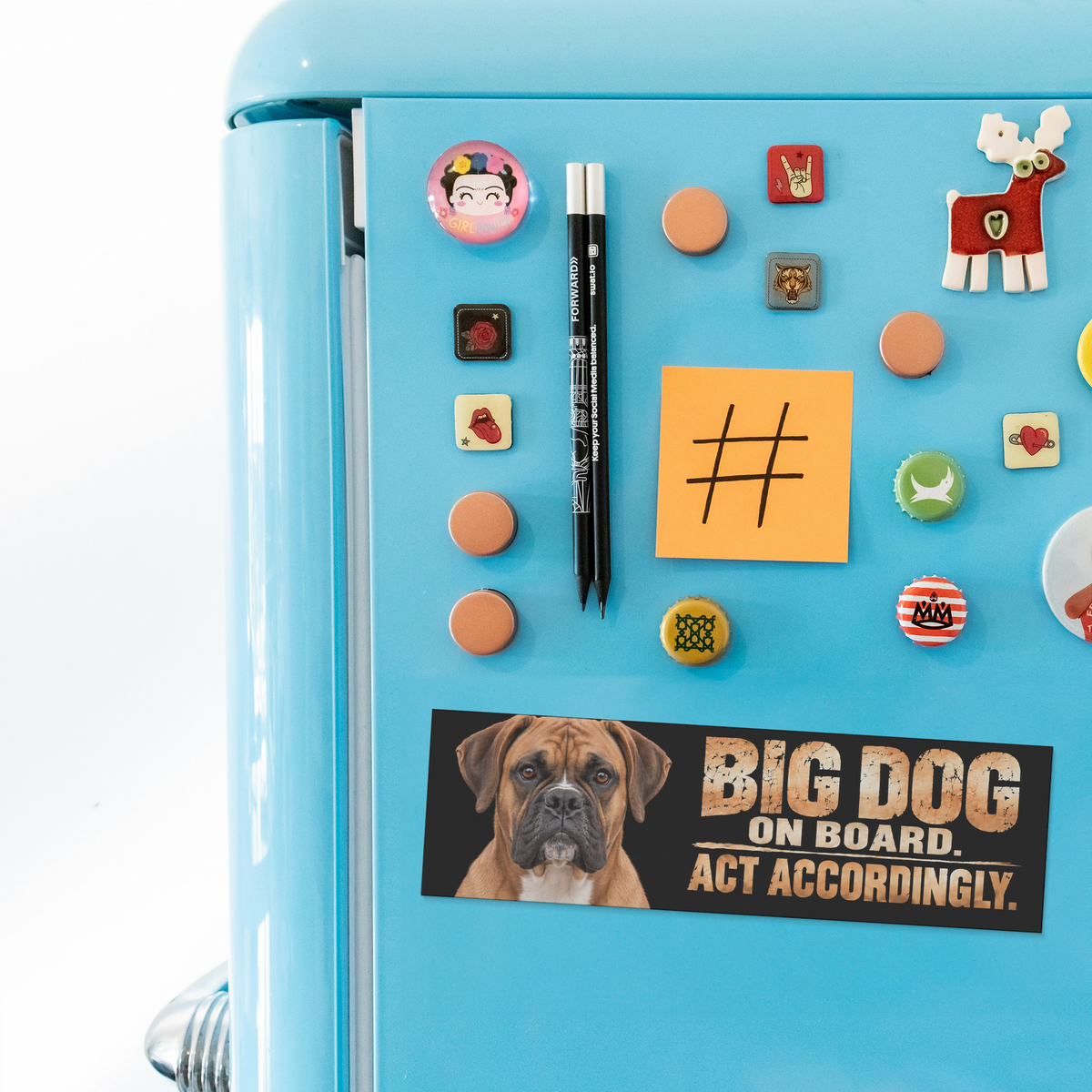 Boxer_Bumper_Magnet__Funny_Big_Dog_on_BumperMagnet_Fridge_H_AS_Mockup.png_16374065