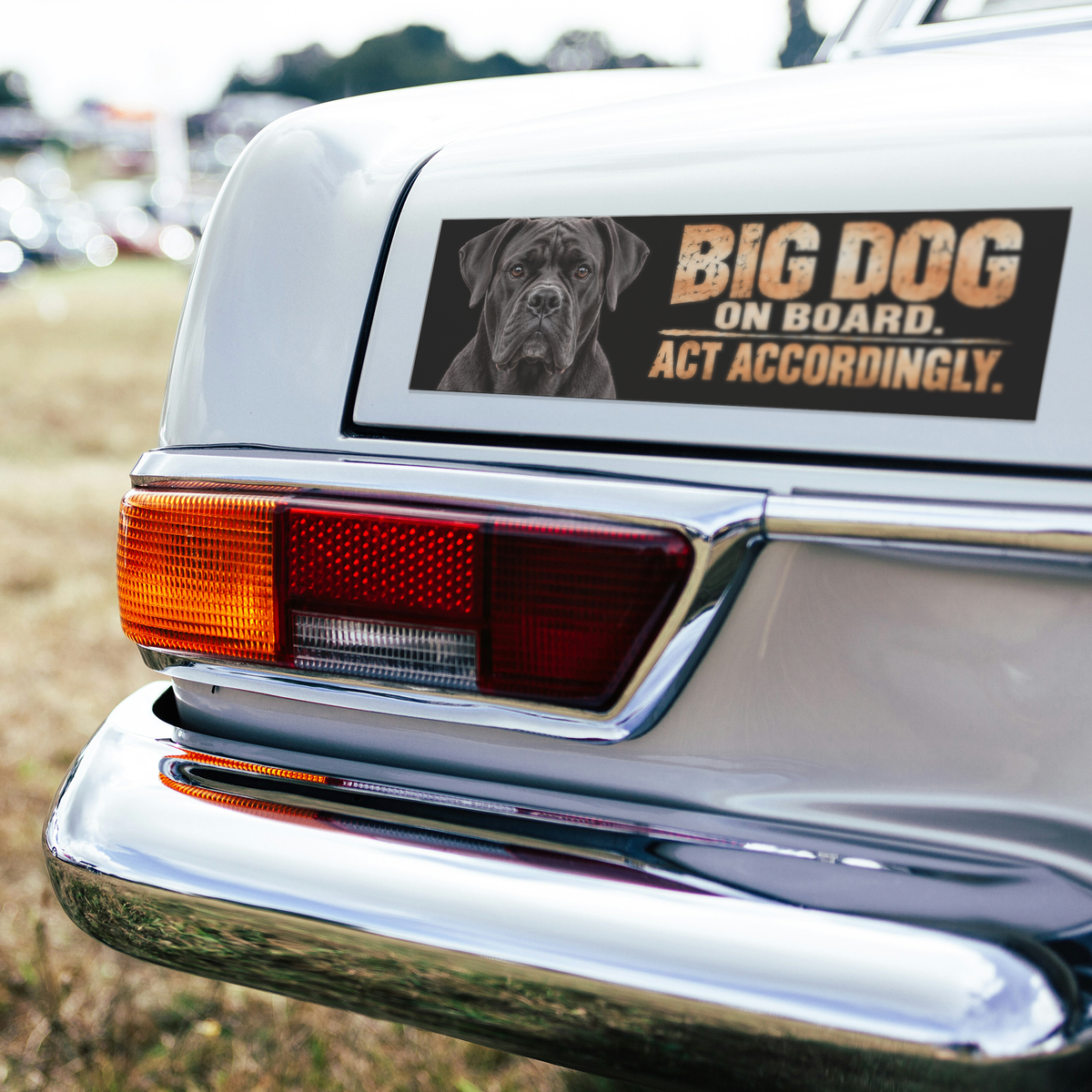Cane_Corso_Bumper_Magnet__Funny_Big_D_BumperMagnet_CarBumper_H_Mockup.png_16374685