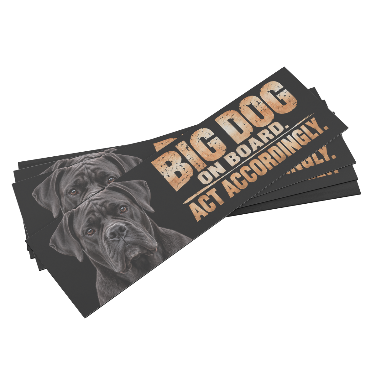 Cane_Corso_Bumper_Magnet__Funny_Big_D_BumperMagnet_MagnetsStack_H_Mockup.png_16374682