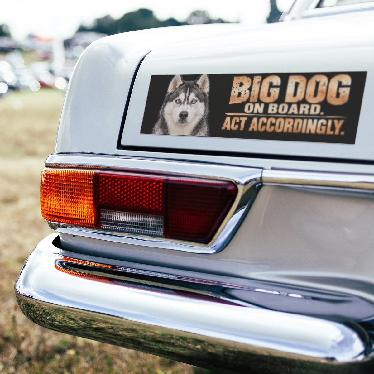 Husky_Bumper_Magnet__Funny_Big_Dog_on_BumperMagnet_CarBumper_H_Mockup.png_16374121