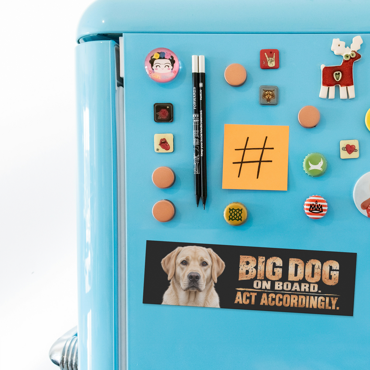 Labrador_Retriever_Bumper_Magnet__Fun_BumperMagnet_Fridge_H_AS_Mockup.png_16341854