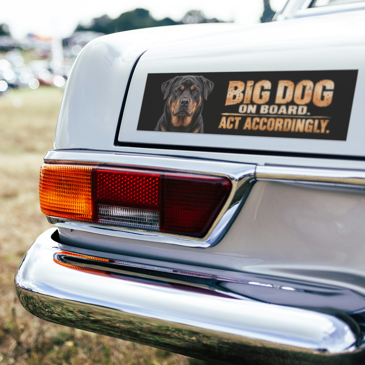 Rottweiler_Bumper_Magnet__Funny_Big_D_BumperMagnet_CarBumper_H_Mockup.png_16341779