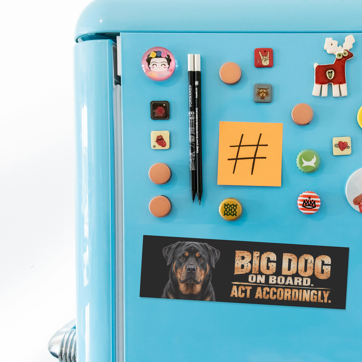 Rottweiler_Bumper_Magnet__Funny_Big_D_BumperMagnet_Fridge_H_AS_Mockup.png_16341777