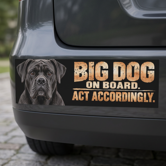 Cane Corso bumper magnet with Big Dog on Board artwork displayed on a charcoal car.